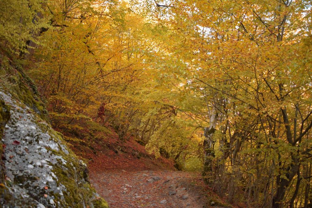 თამარის ხიდი რკონში