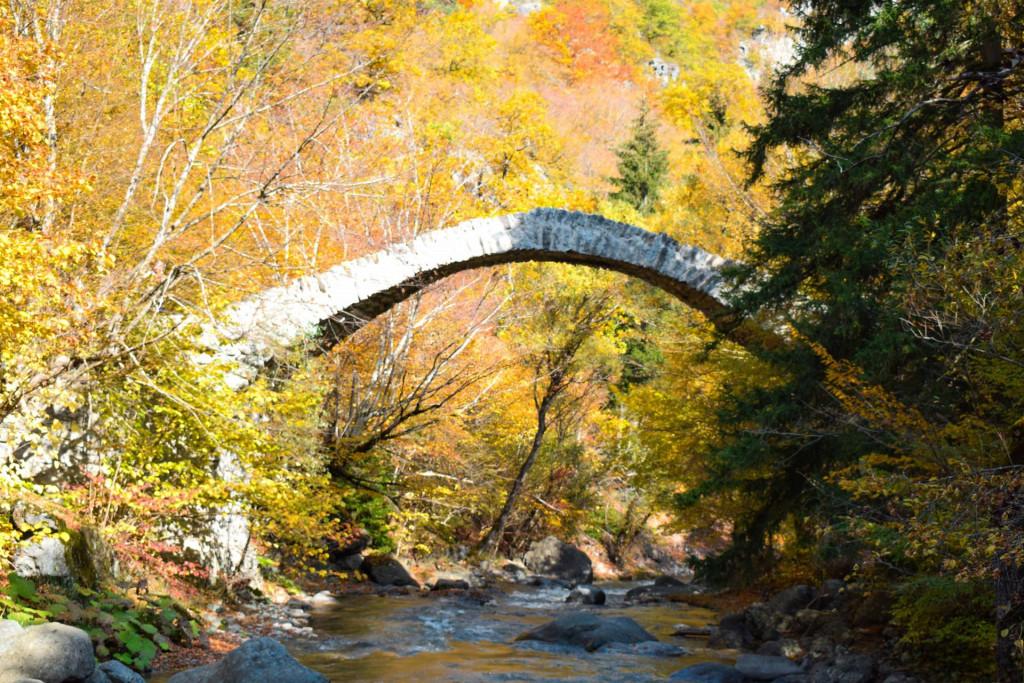 თამარის ხიდი რკონში