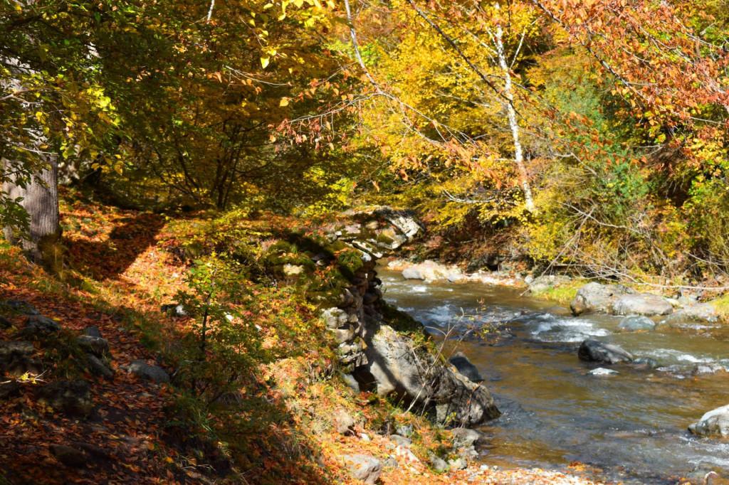 თამარის ხიდი რკონში