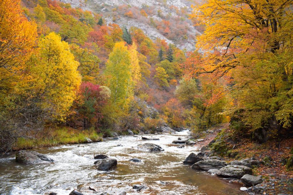 თამარის ხიდი რკონში