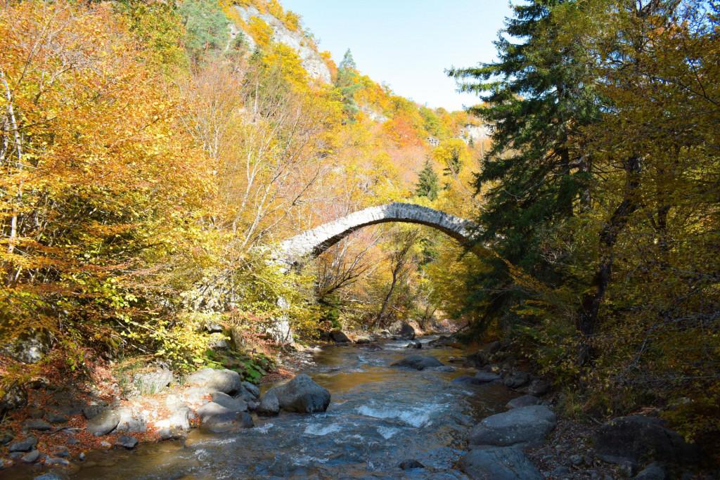 თამარის ხიდი რკონში