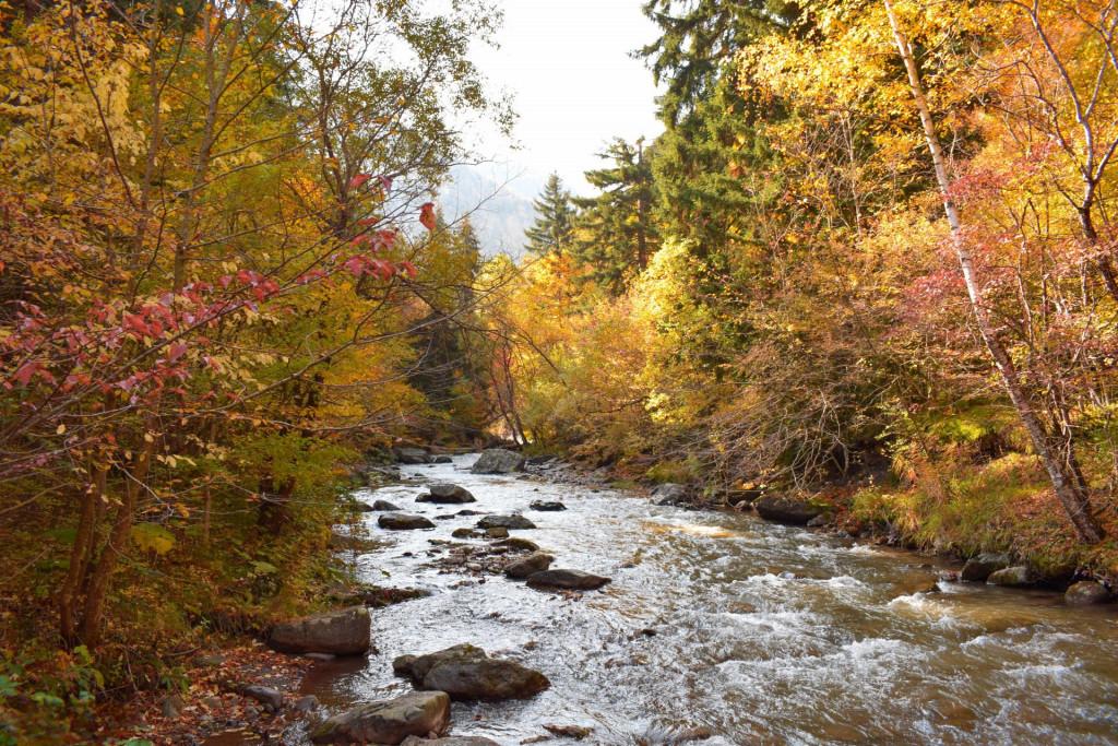 თამარის ხიდი რკონში