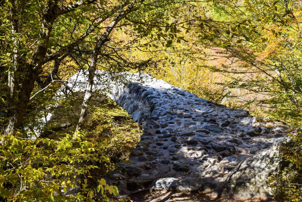 თამარის ხიდი რკონში