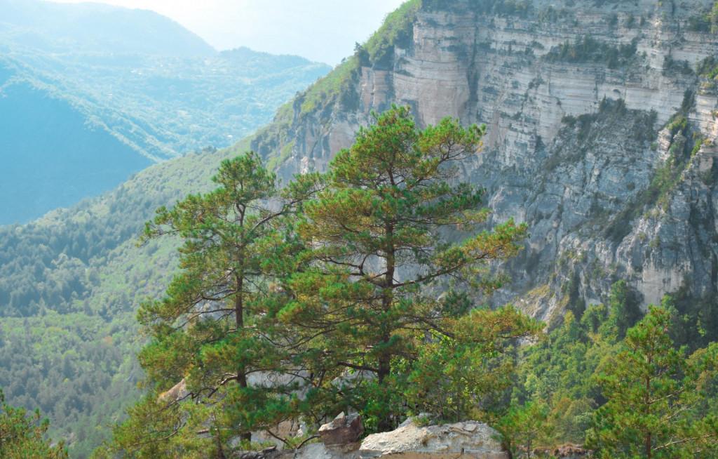 საირმის სვეტები