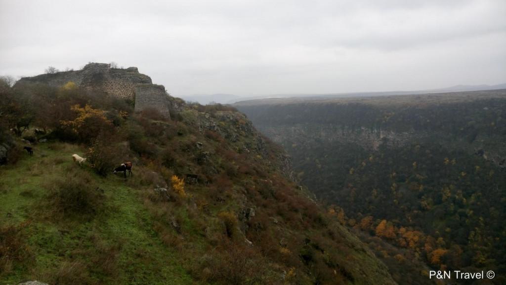 სამშვილდის არქეოლოგიური კომპ