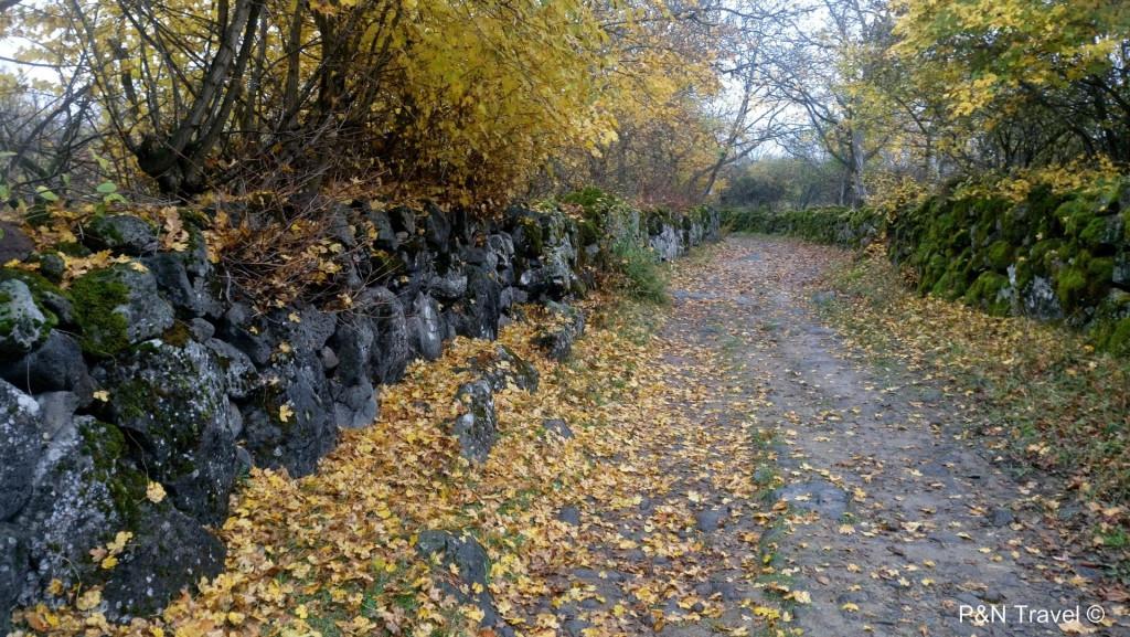 სამშვილდის არქეოლოგიური კომპ