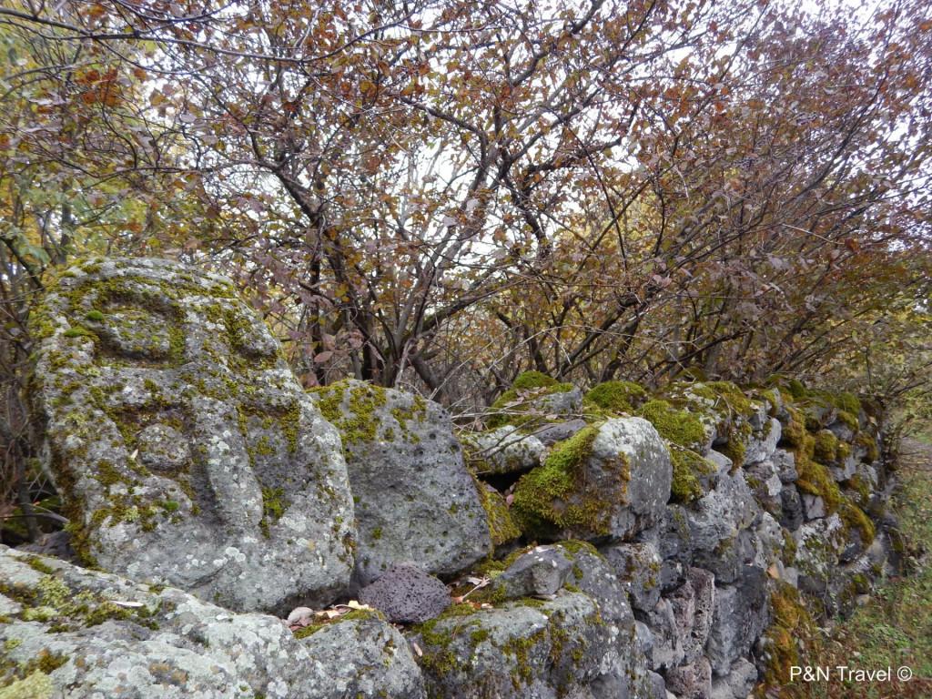 სამშვილდის არქეოლოგიური კომპ