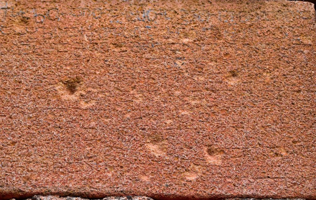 სამშვილდის წმინდა თევდორეს ეკლესია