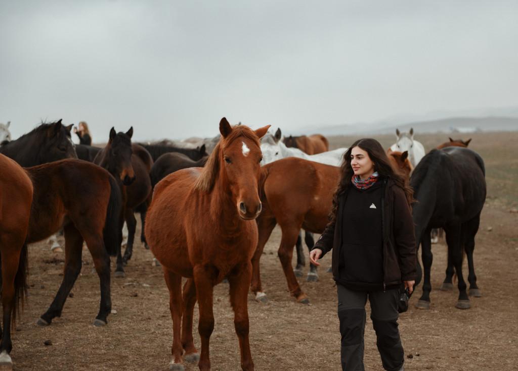 Vashlovani Horse Tour