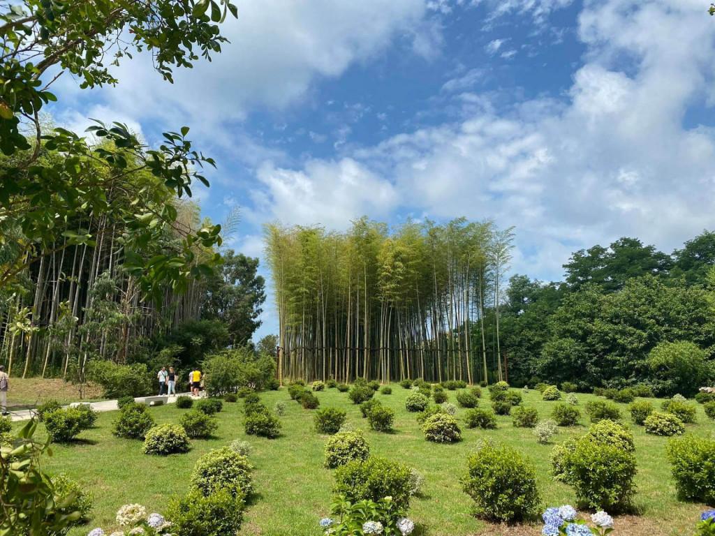 შეკვეთილის დენდროლოგიური პარკი Shekvetili Dendrological Park Дендрологический парк Шекветили