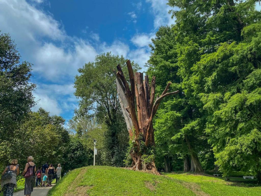 შეკვეთილის დენდროლოგიური პარკი Shekvetili Dendrological Park Дендрологический парк Шекветили