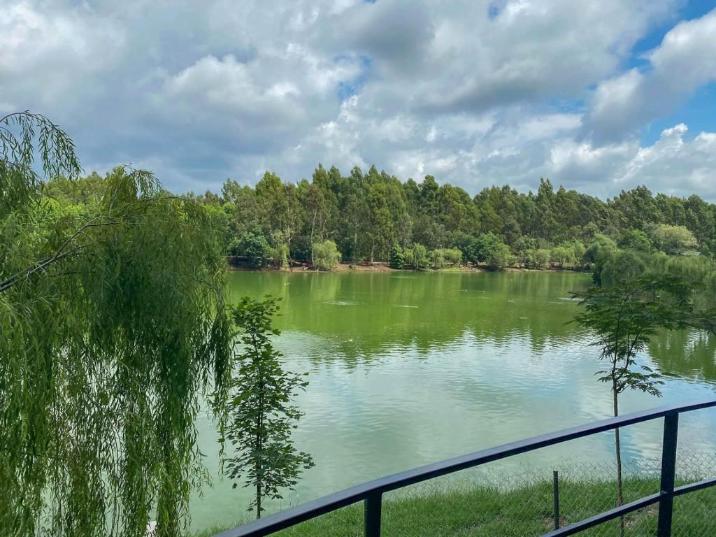 შეკვეთილის დენდროლოგიური პარკი Shekvetili Dendrological Park Дендрологический парк Шекветили