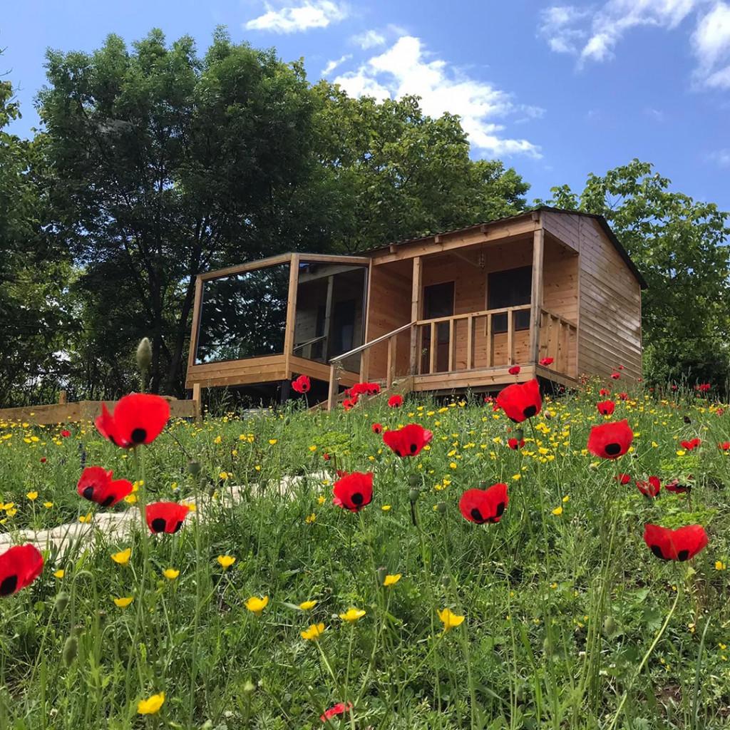 Villaggio Mirzaani resort/ვილაჯიო მირზაანი რეზორტი