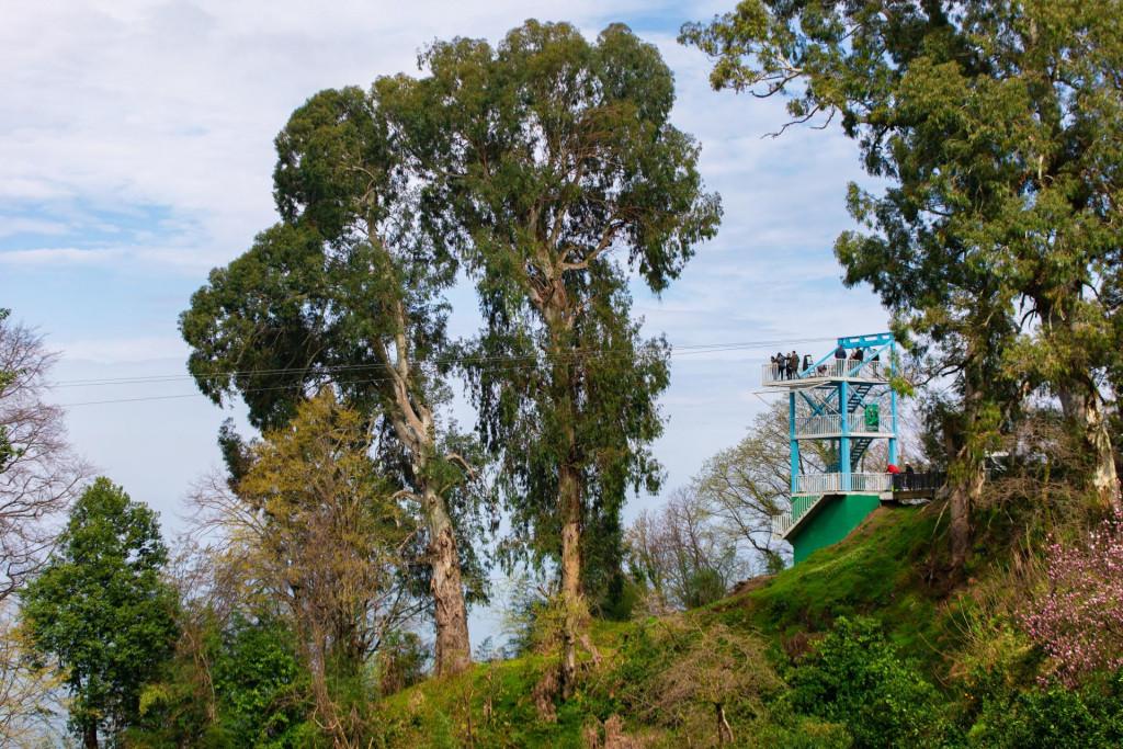 ზიპლაინი ბათუმში