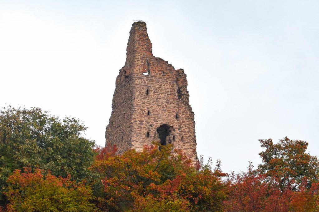 ტაგნაგეთის კომპლექსი