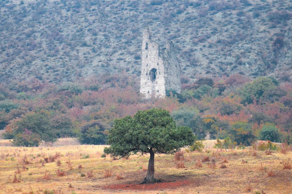 ტაგნაგეთის კომპლექსი