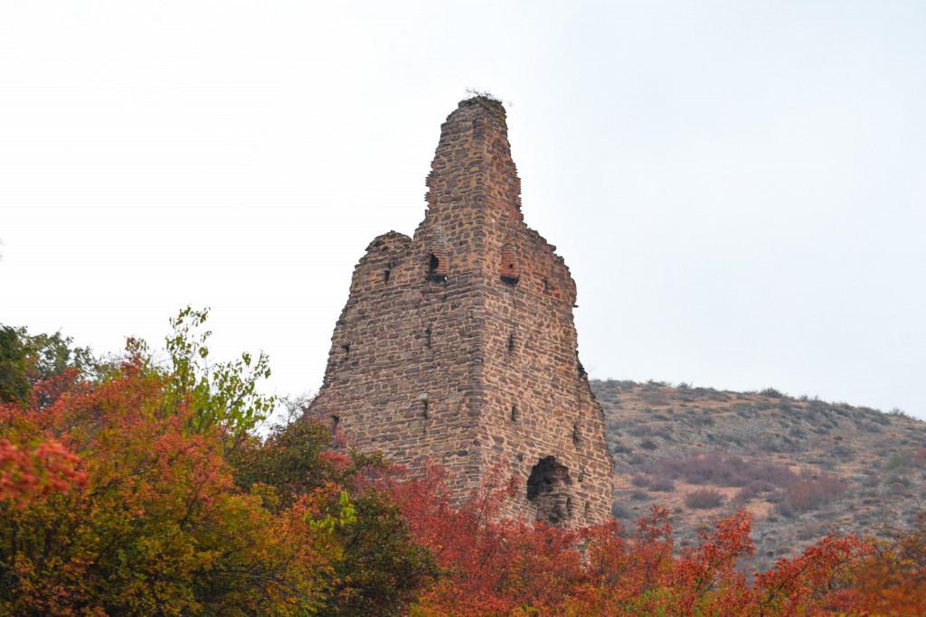 ტაგნაგეთის კომპლექსი