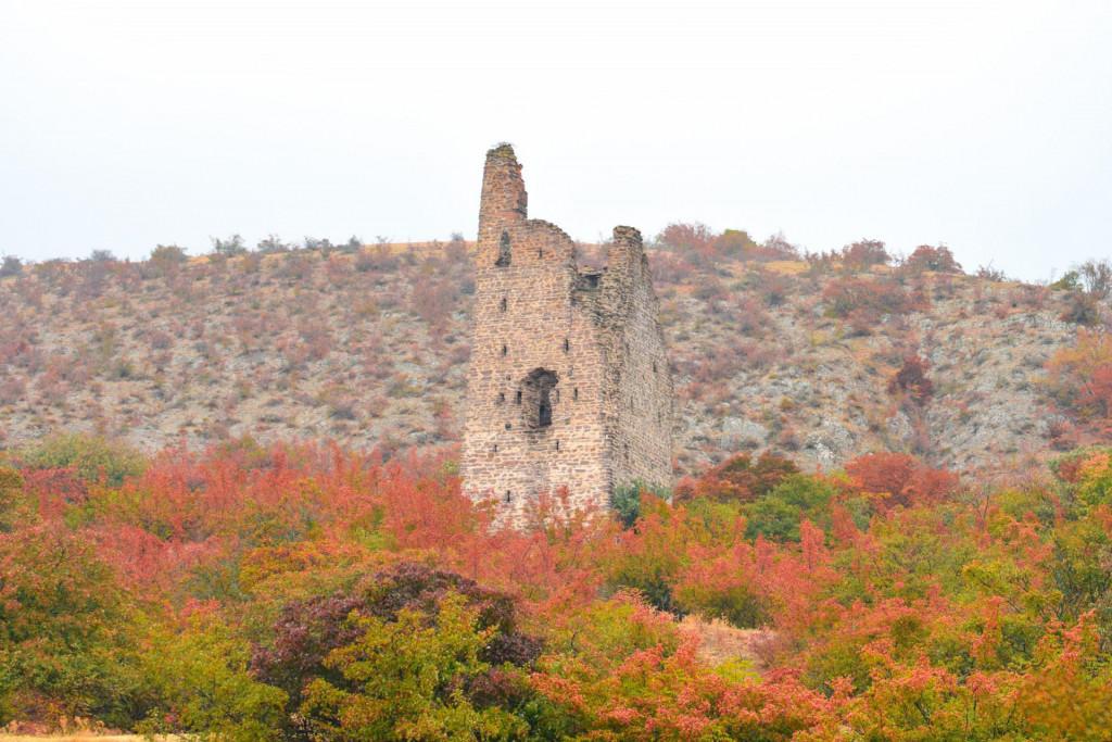 ტაგნაგეთის კომპლექსი