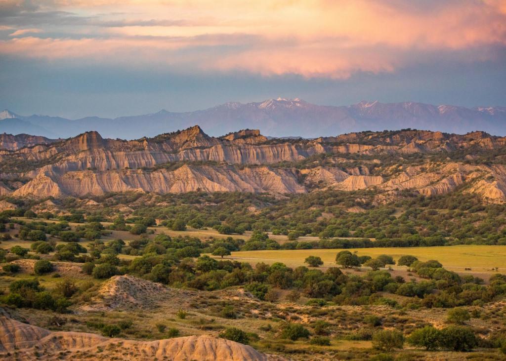 Private Wilderness Tour in Vashlovani National Park