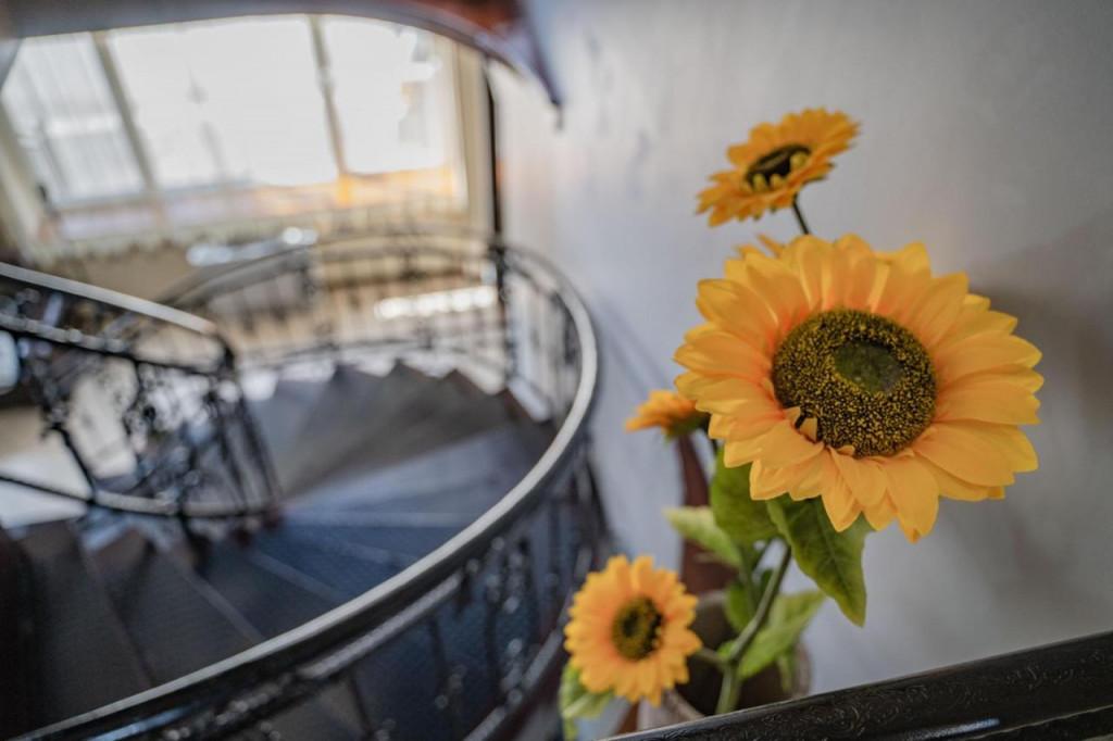 თელავ ჰოლი