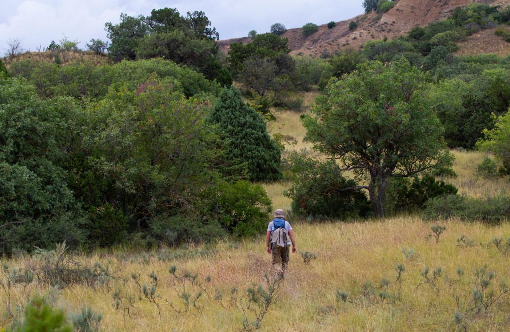 Private Wilderness Tour in Vashlovani National Park