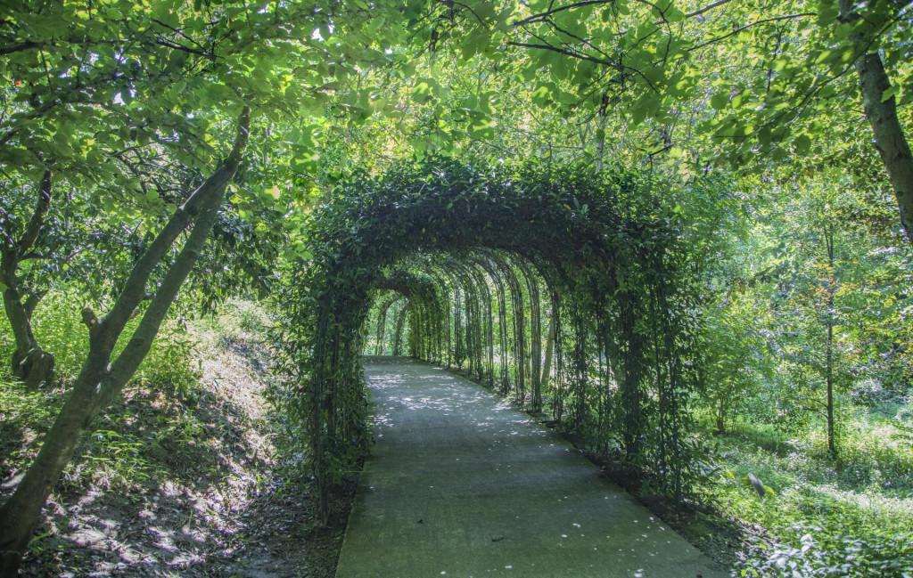 წვერმაღალას პარკი Tsvermagala Park Цвермагала Парк