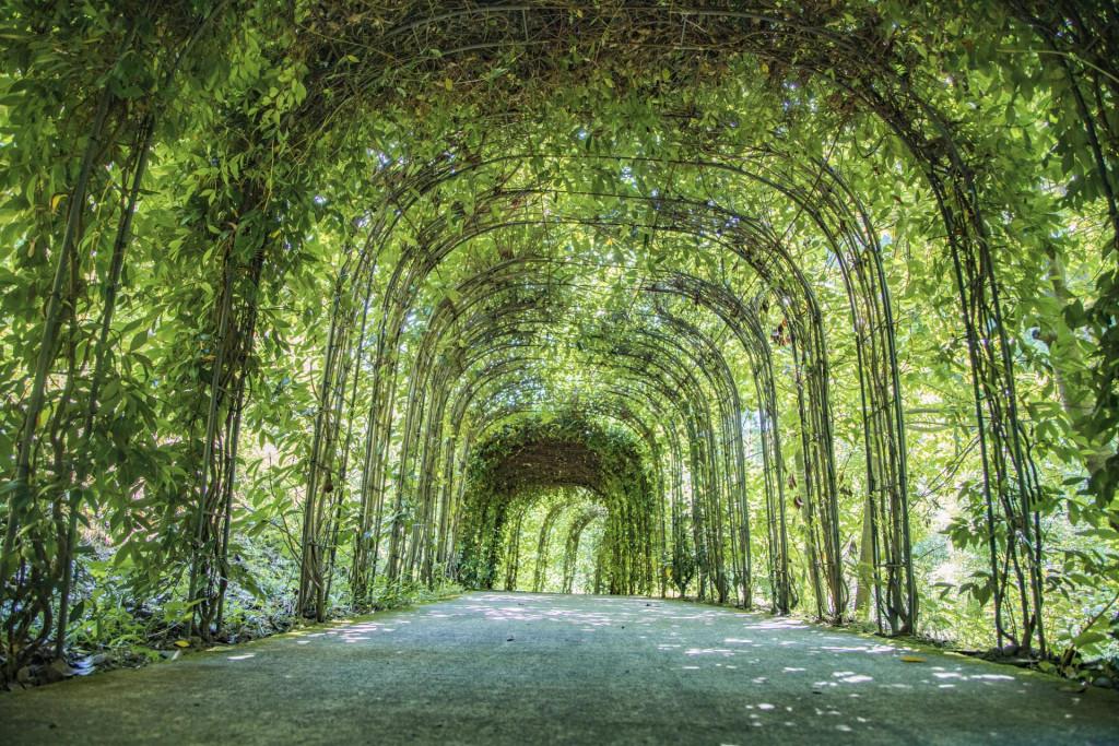 წვერმაღალას პარკი Tsvermagala Park Цвермагала Парк