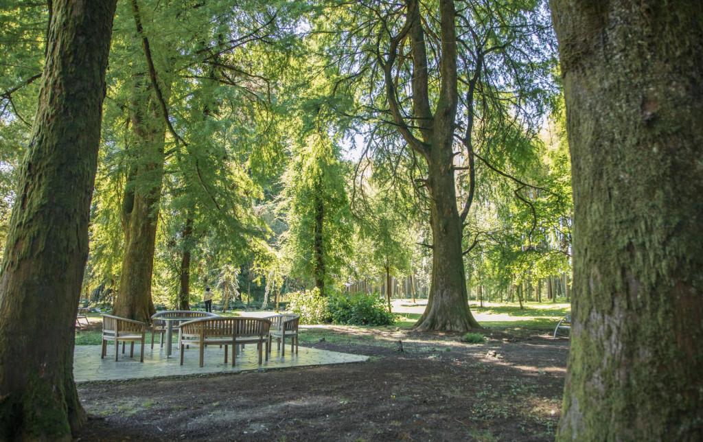 წვერმაღალას პარკი Tsvermagala Park Цвермагала Парк