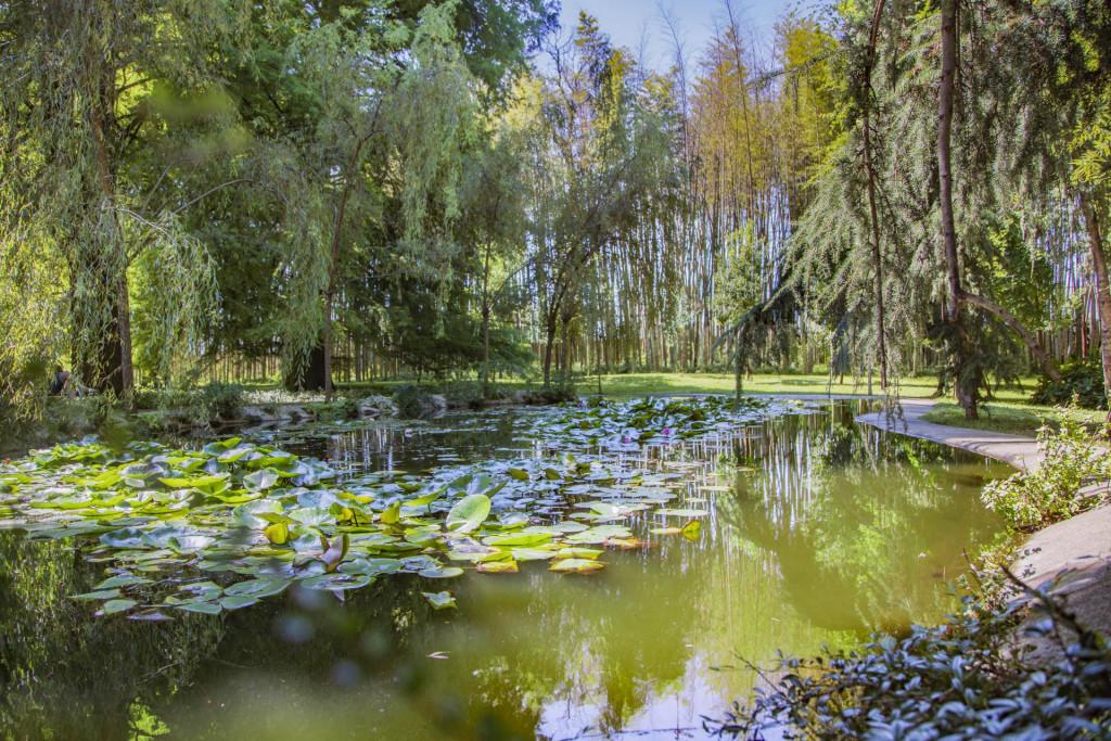 წვერმაღალას პარკი Tsvermagala Park Цвермагала Парк