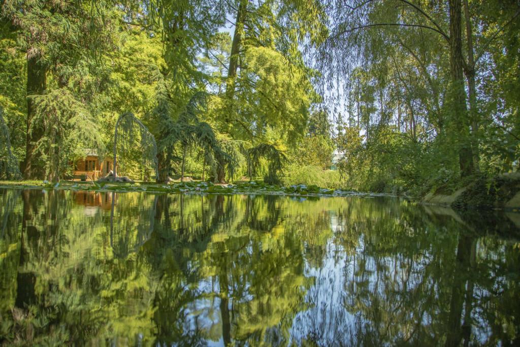 წვერმაღალას პარკი Tsvermagala Park Цвермагала Парк