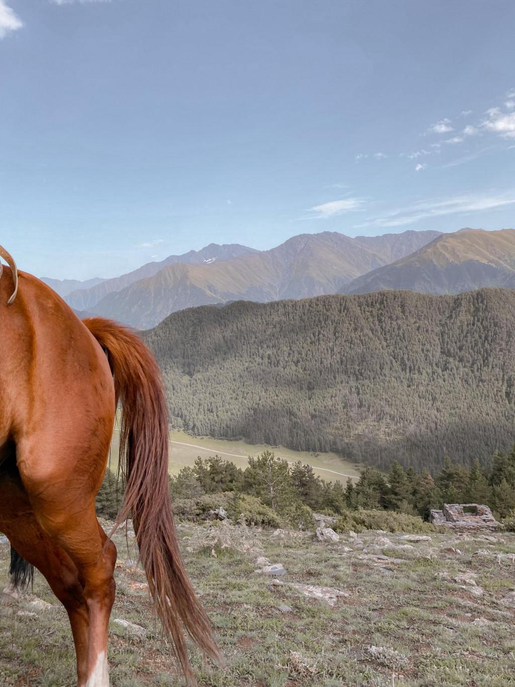 Tusheti Adventure Horsetour