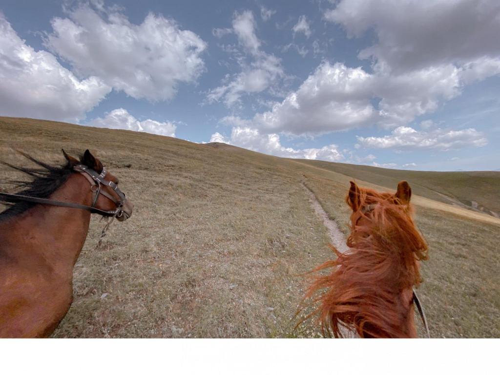 Tusheti Adventure Horsetour
