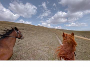 Tusheti Adventure Horsetour