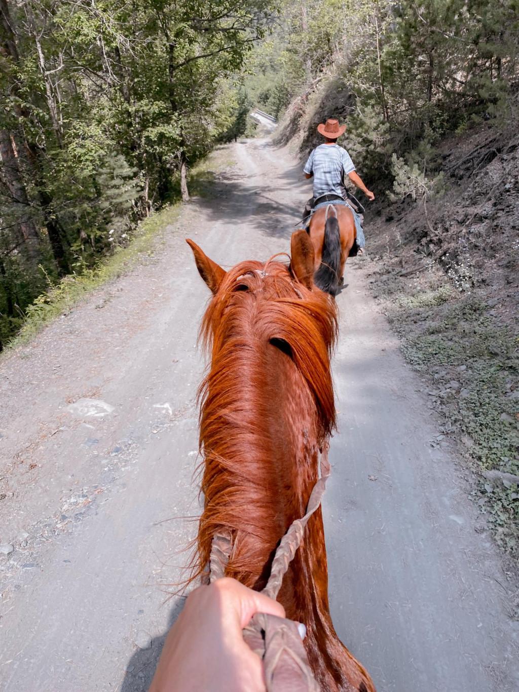 Tusheti Adventure Horsetour