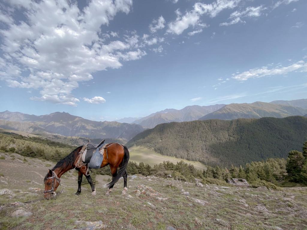 Tusheti Adventure Horsetour
