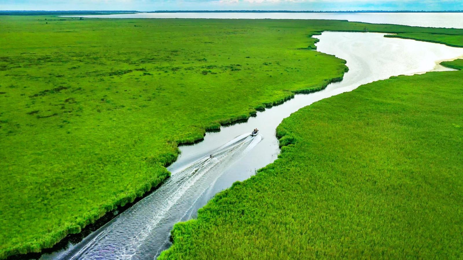 ოქროს ტბა, ფოთი, სამეგრელო - Golden Lake, Poti, Samegrelo