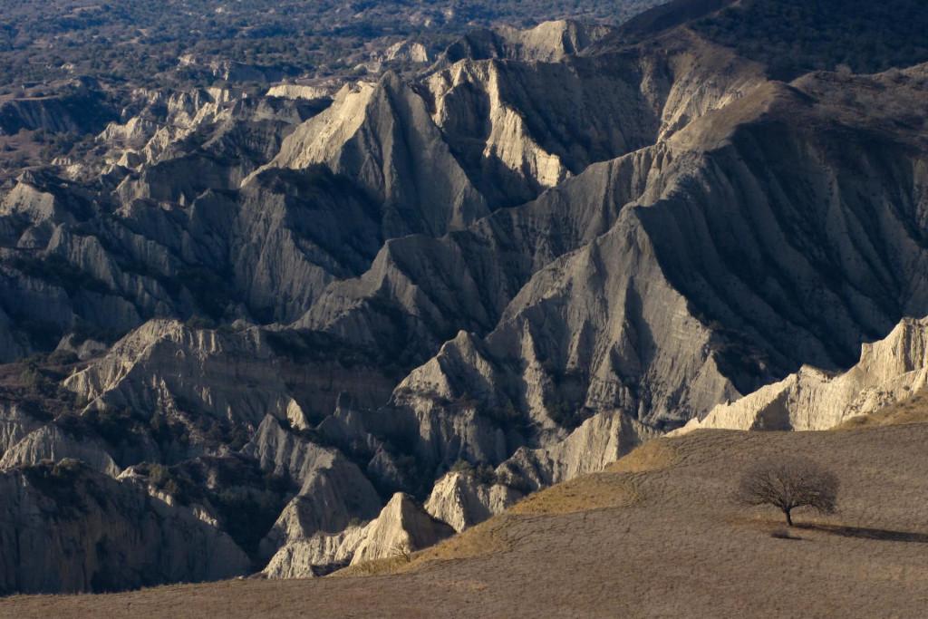 Private Wilderness Tour in Vashlovani National Park