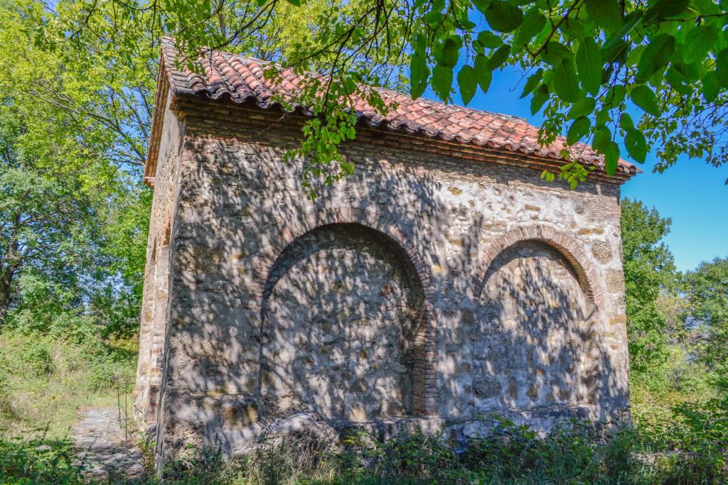 vejinis-petre-motsikulis-sakhelo