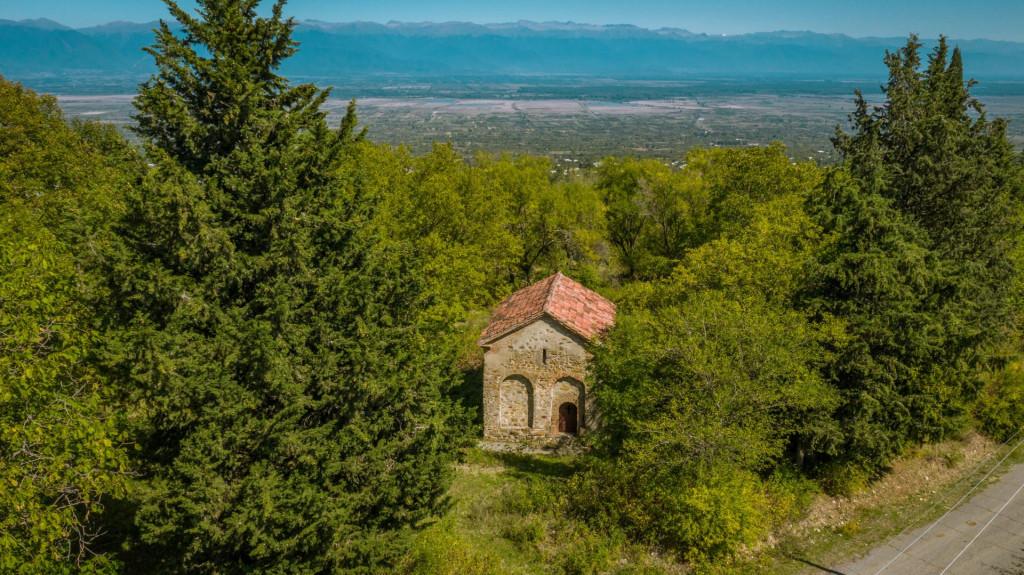 vejinis-petre-motsikulis-sakhelo