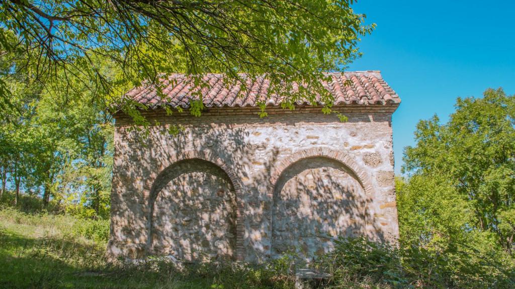 vejinis-petre-motsikulis-sakhelo