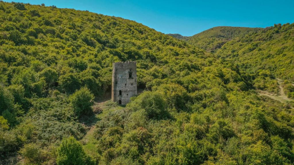 vejinis-satvaltvalo-sasignalo-ko