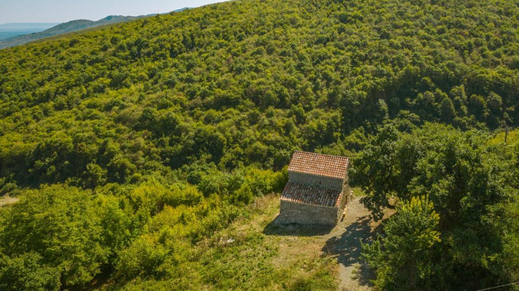 vejinis-tsm-giorgis-sakhelobis-e