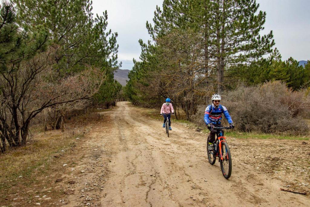 velobiliki-mamkoda-norio2