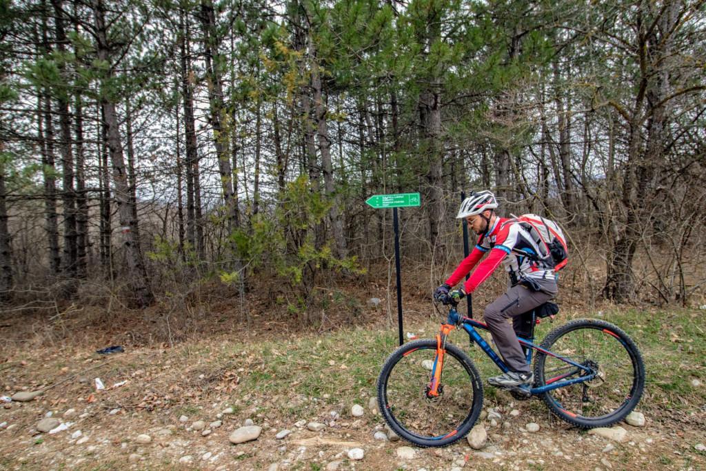 velobiliki-mamkoda-norio3