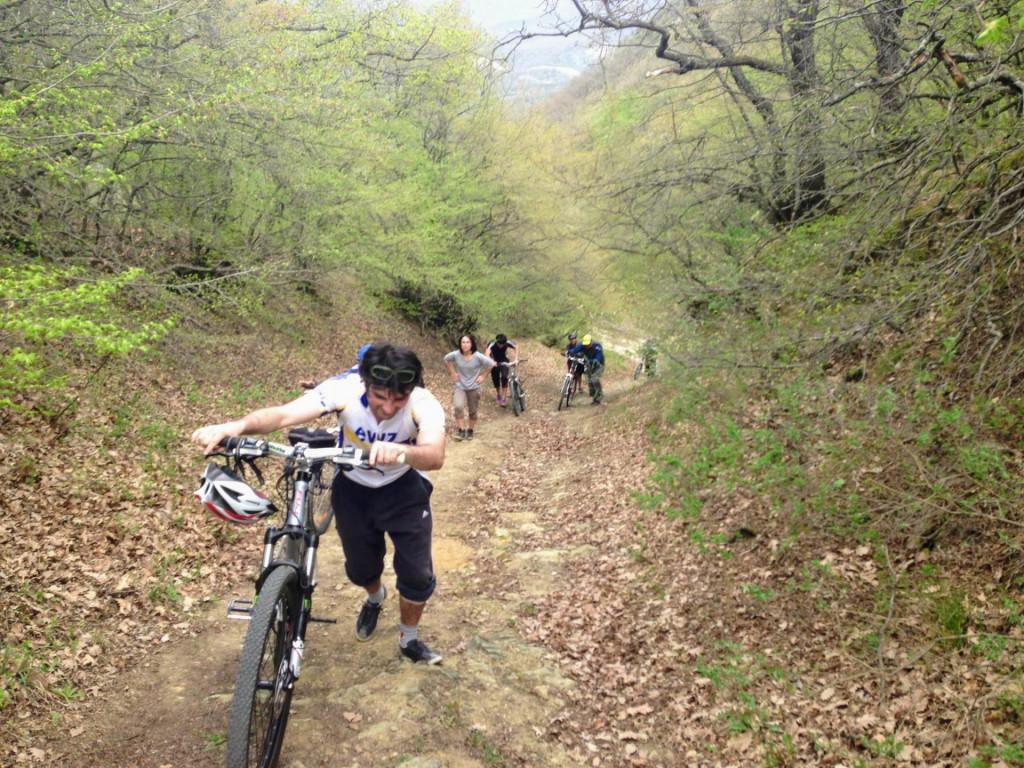 veloturi-jvris-monasteri3