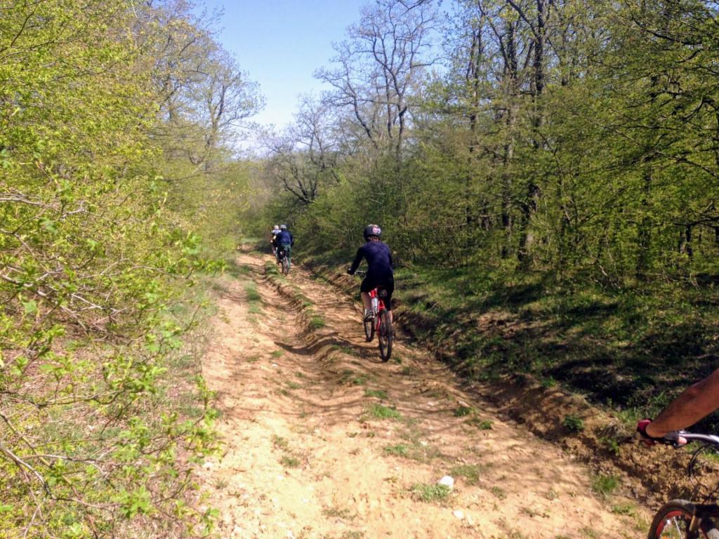 veloturi-kiketi-asureti4