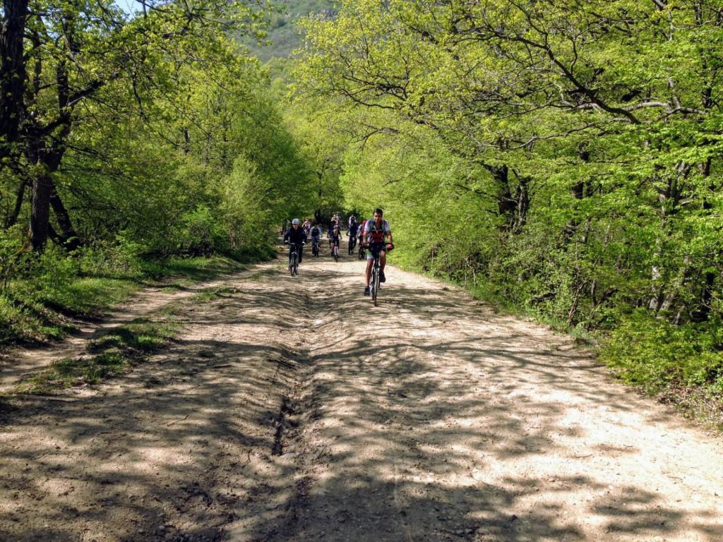 veloturi-kiketi-asureti6