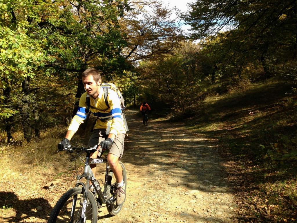 veloturi-kojori-borbalo