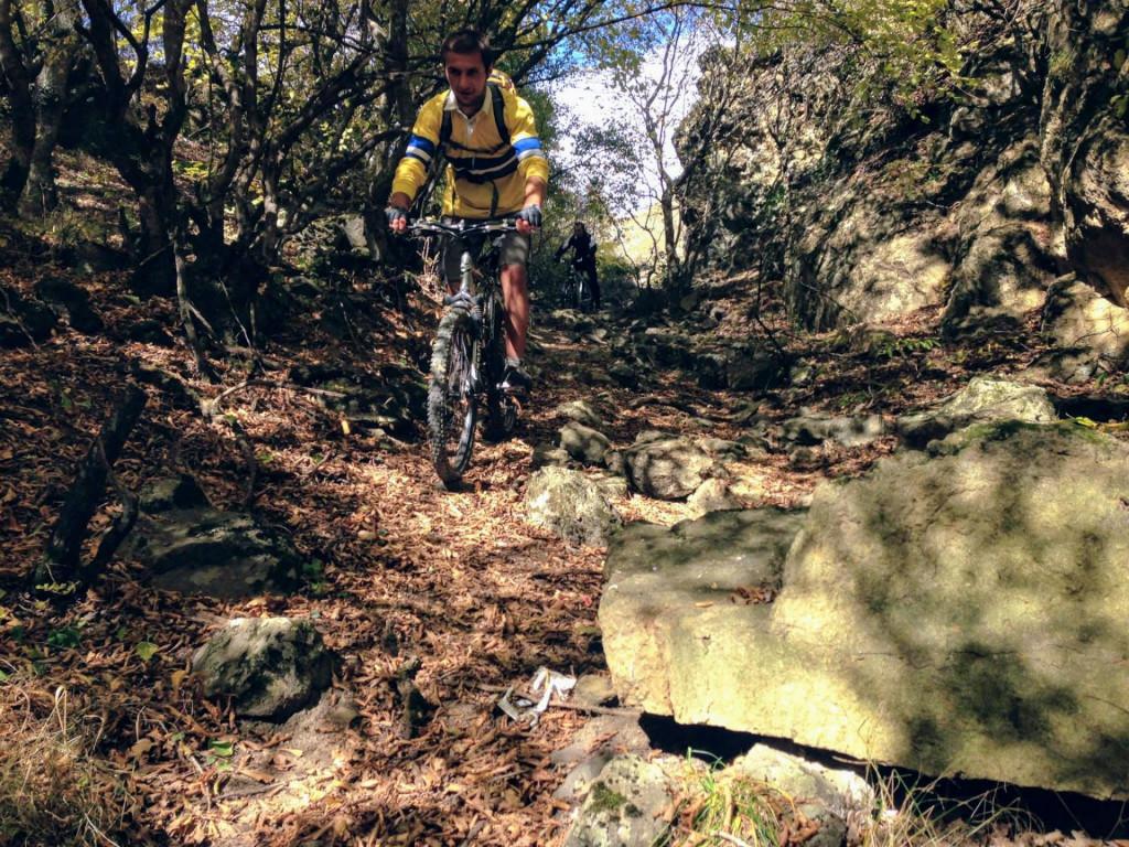 veloturi-kojori-borbalo2