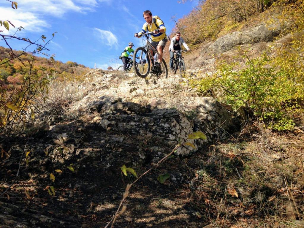 veloturi-kojori-borbalo3